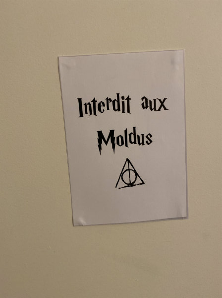 baby shower harry potter moldu