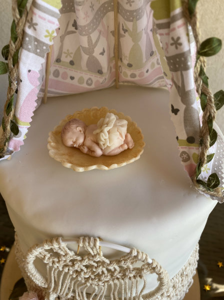 baby shower boheme cake