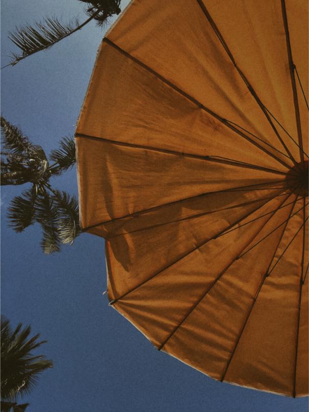 chaleur canicule