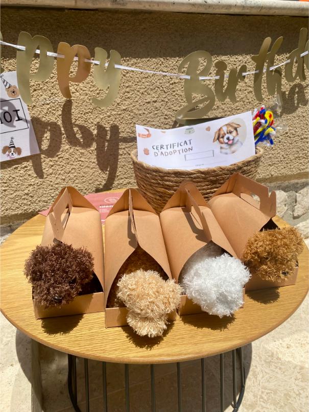 adopte chiot jeu enfant