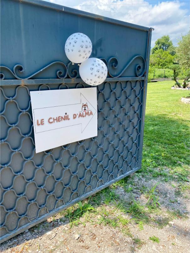 panneau anniversaire enfant theme chien