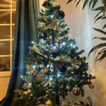 theme sapin noel