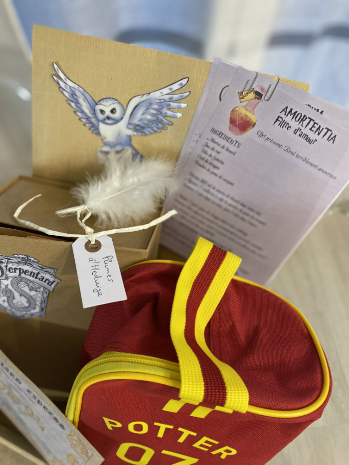 cadeau harry potter faire soi meme